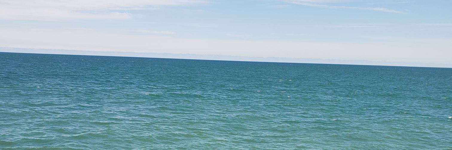catfella22's profile banner image