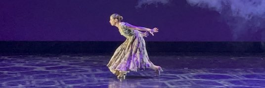 Nicole Martensen banner