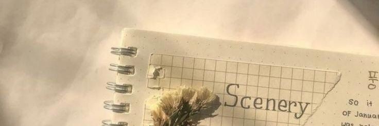 jchaeyeo_n's profile banner image