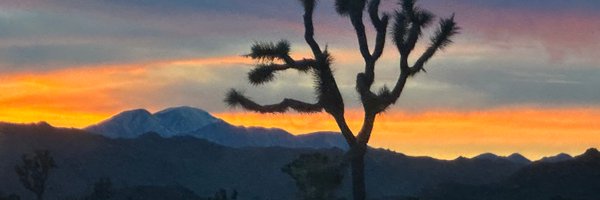 nickmvincent Profile Banner