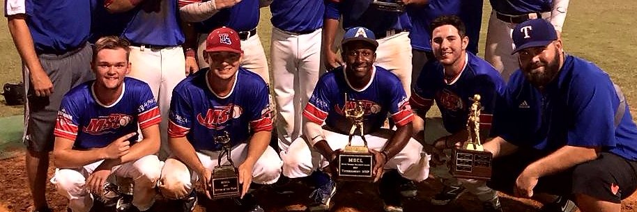 Metro Summer League presented by Golden Chick banner