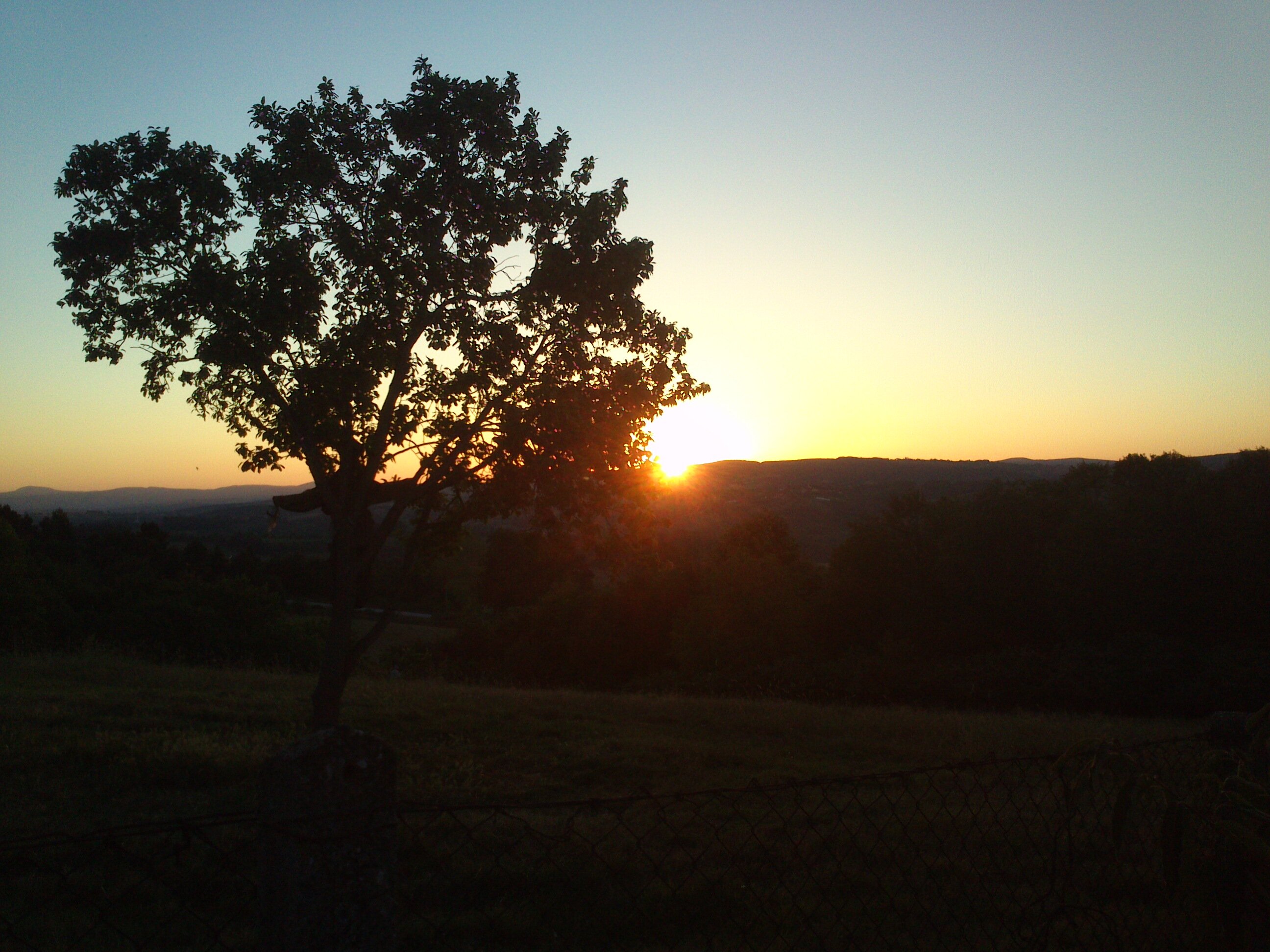 talhaaersoz's profile banner image