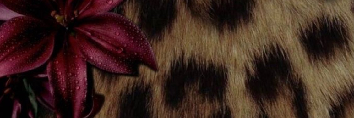 THEPROGRAM!!🫧 banner