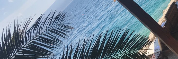 beth donaldson🍒 banner