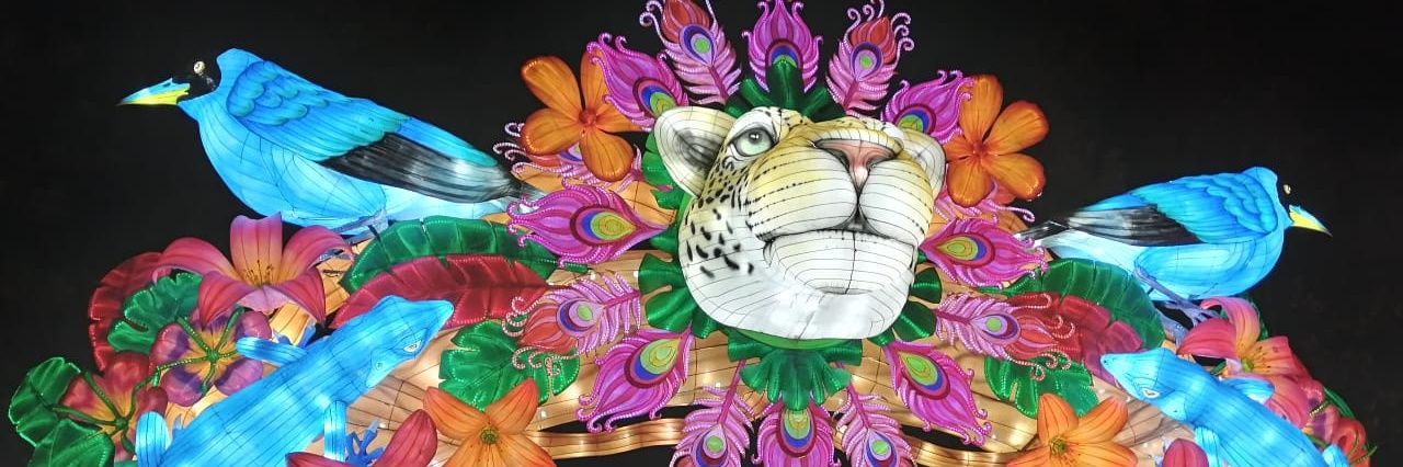 Veliant's profile banner image