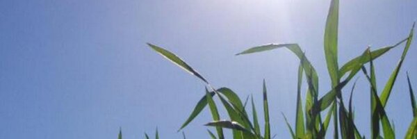 FaceyGroup Profile Banner