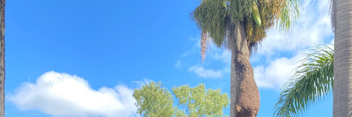 joycefrr__'s profile banner image