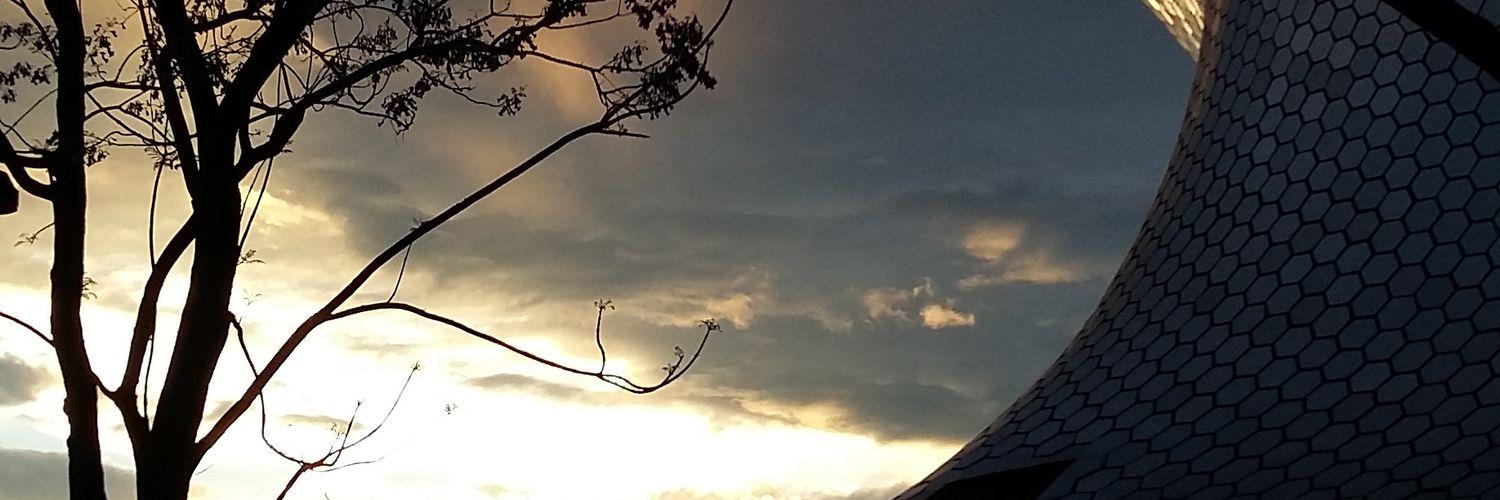 lachoburger's profile banner image