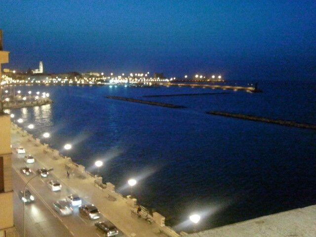 conchiglia 🐚 banner