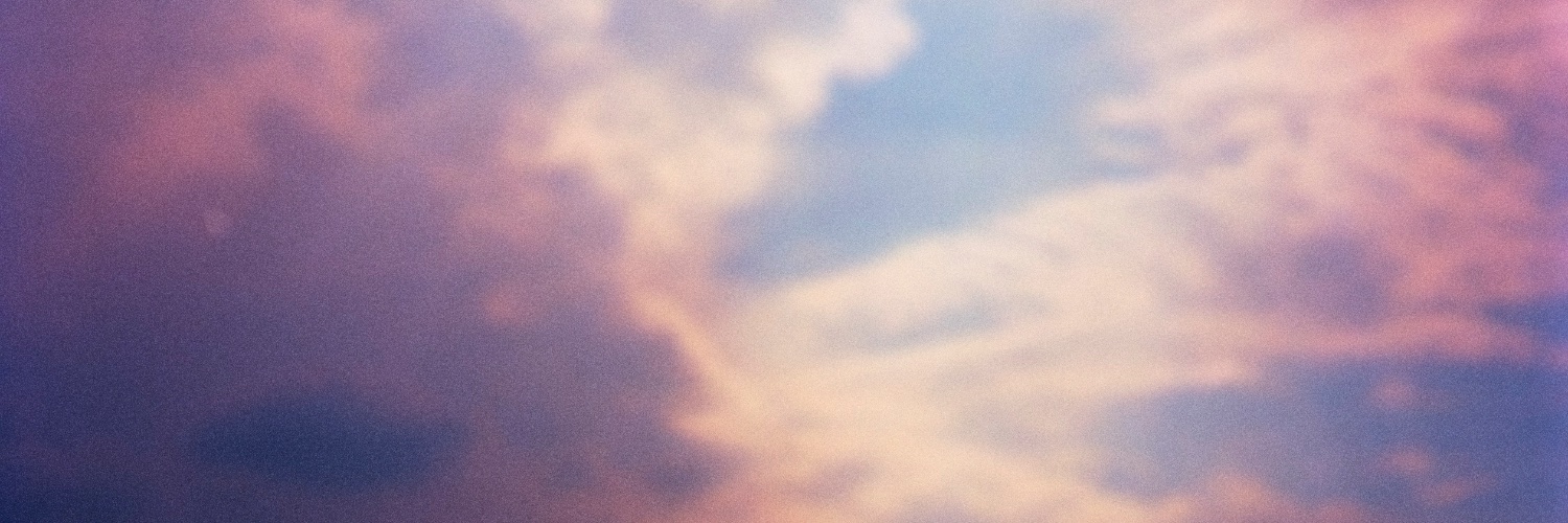 Eefjedevisser's profile banner image