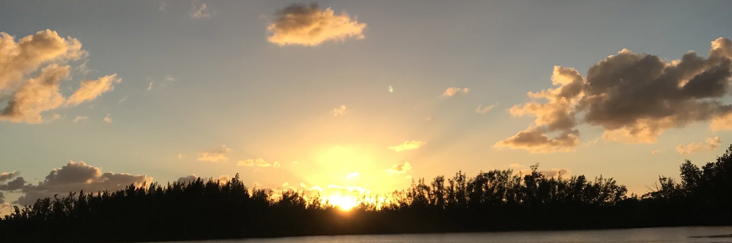 leoramirez15's profile banner image