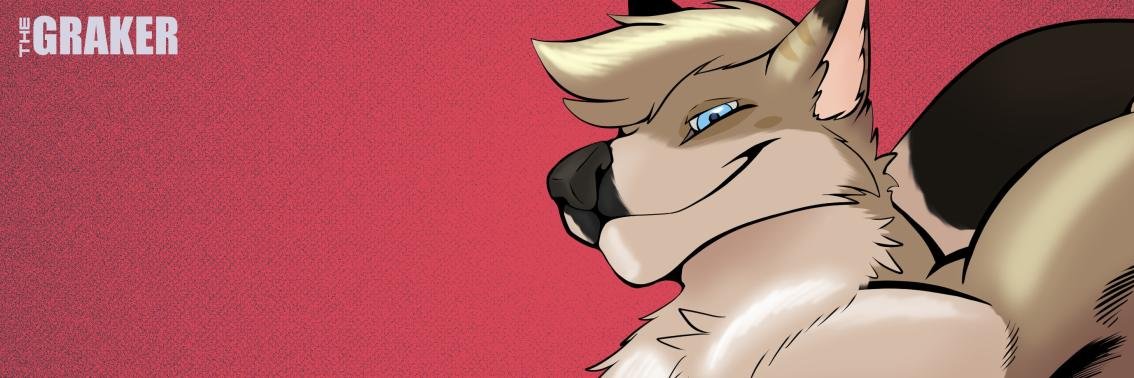 dexten_vr's profile banner image