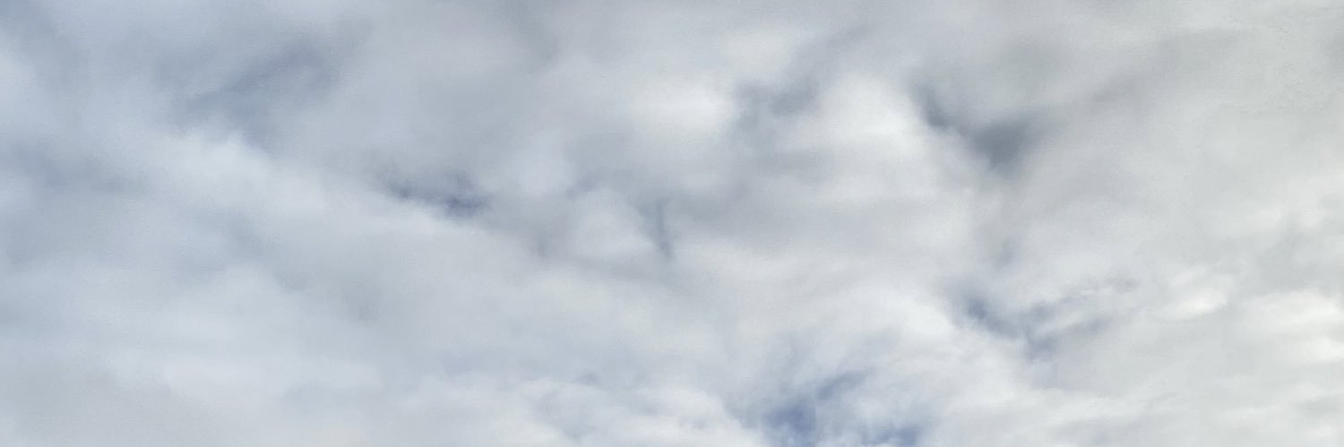 skdnntv's profile banner image