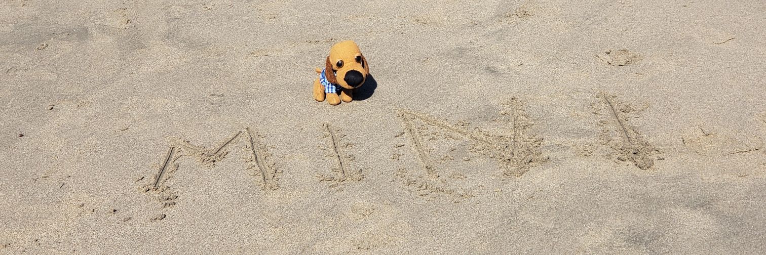 Minivenger. banner
