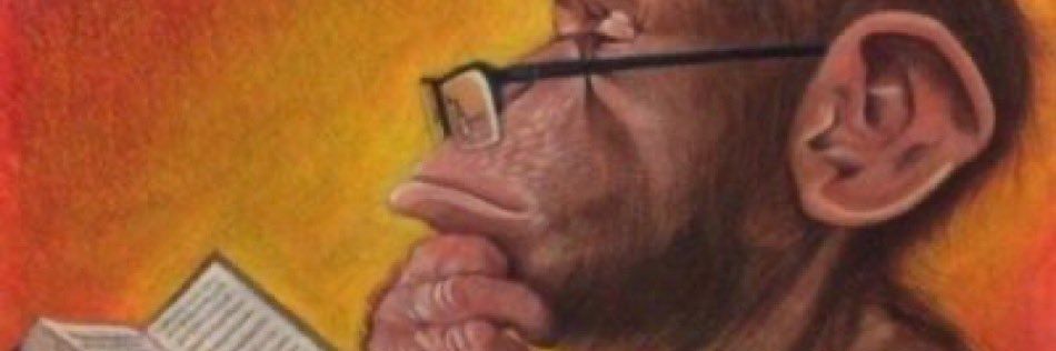 BushmanRoots's profile banner image