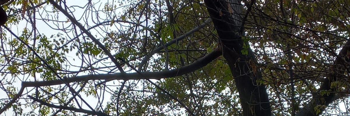 iMaria_Ch's profile banner image