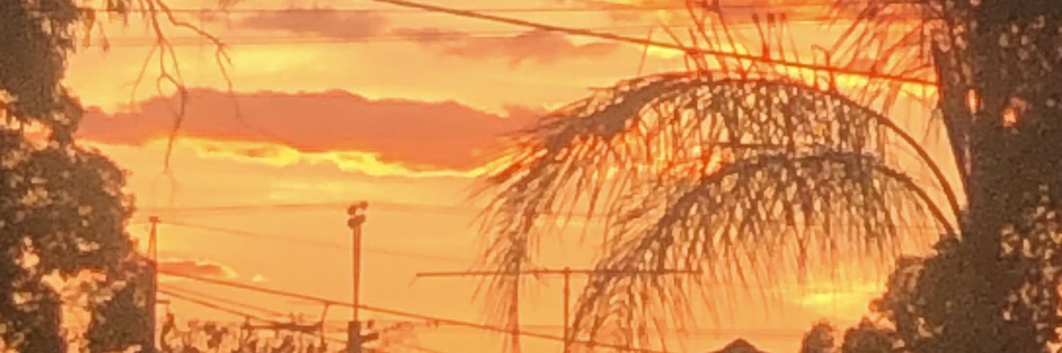 VinnieMax04's profile banner image