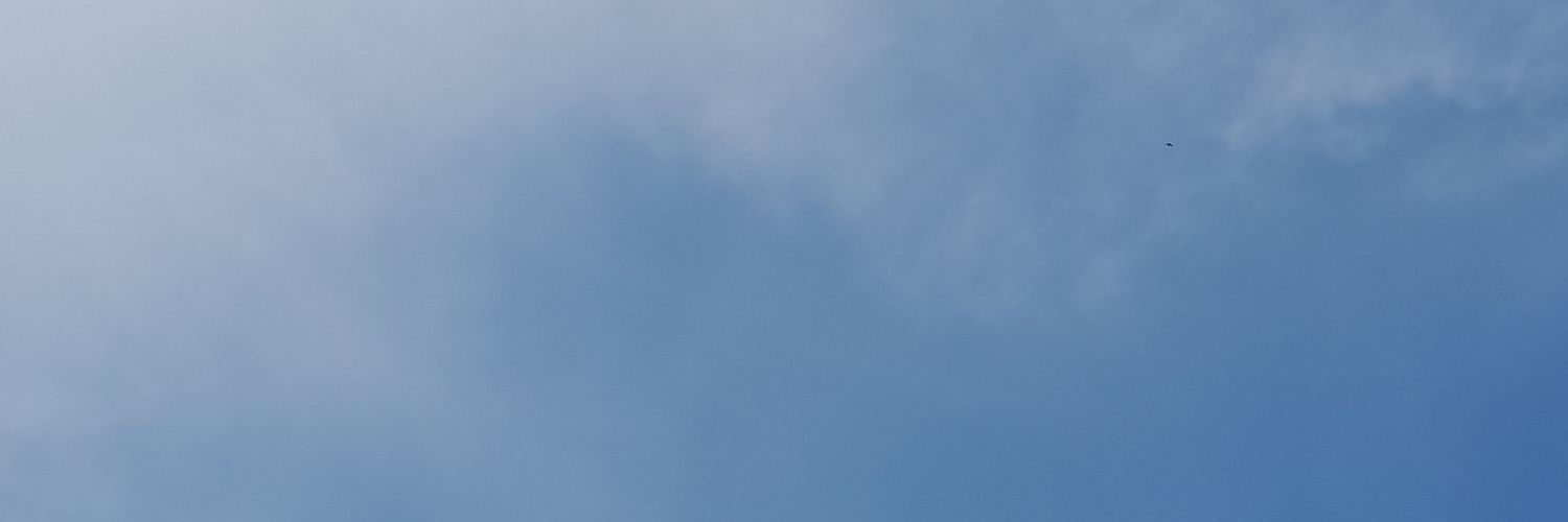 fan banner