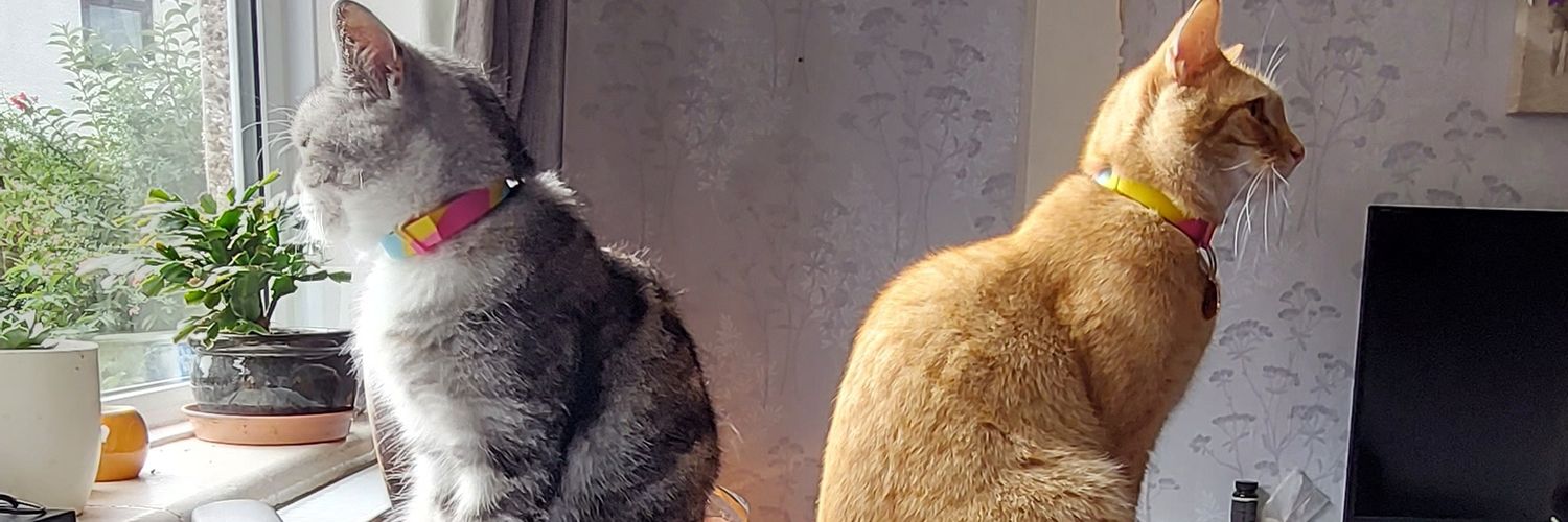 jim_jim57's profile banner image