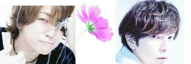 junnosukecoco's profile banner image
