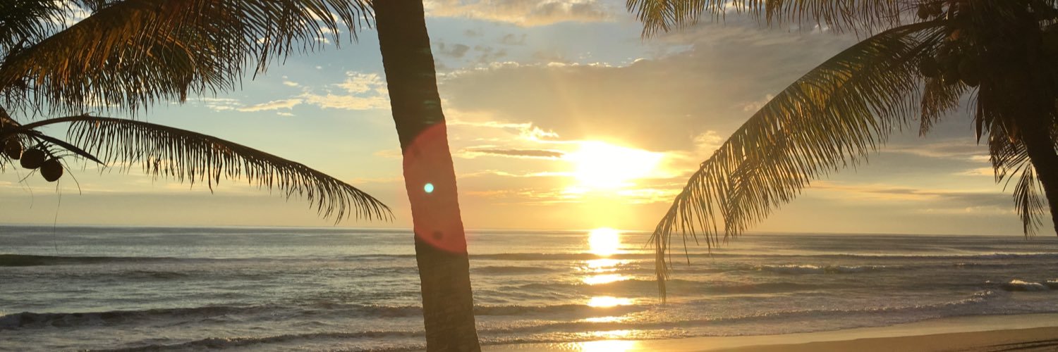 Danny Torres Lopez banner