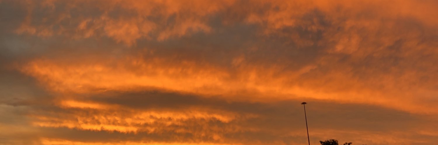 TSHEPVNGM's profile banner image