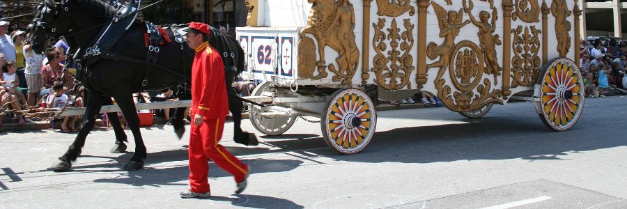 Pastor Bothersome Facts C.E.O. Ph.D D.D.S. P.P.P. banner