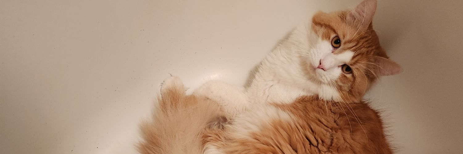 Supporter Sebi banner