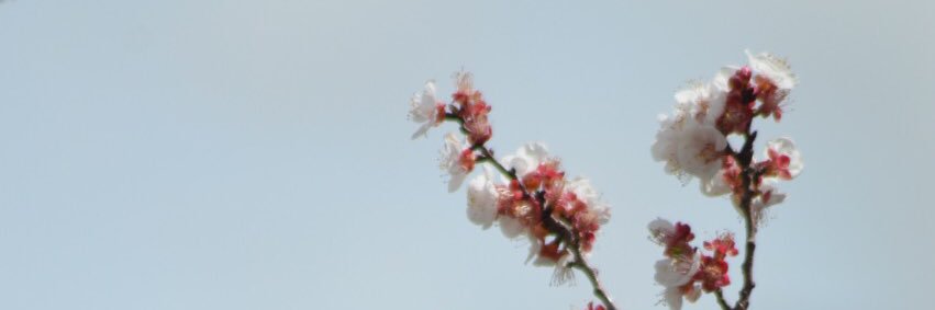 alabri143's profile banner image