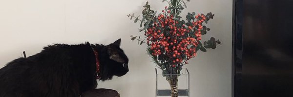 coraI_color Profile Banner