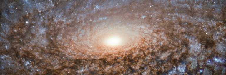 HICO_bot's profile banner image