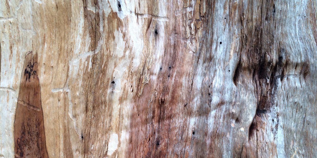 Joshua Johnson banner