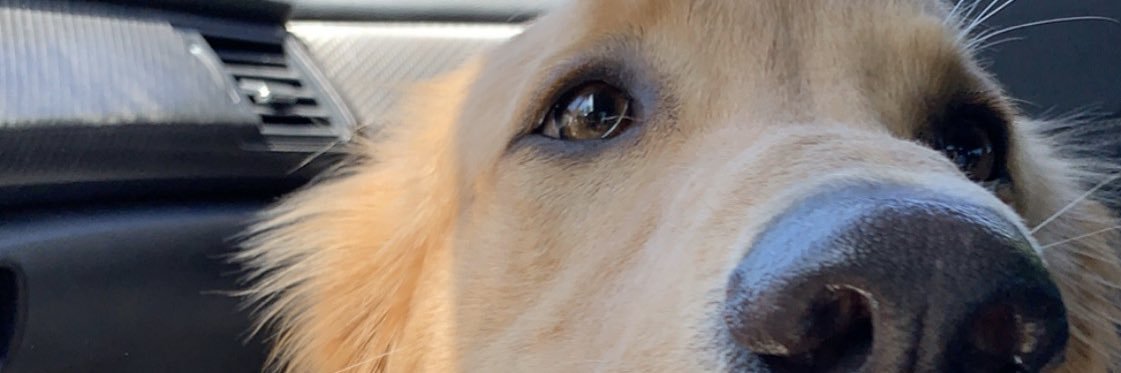 jaemedanielle's profile banner image