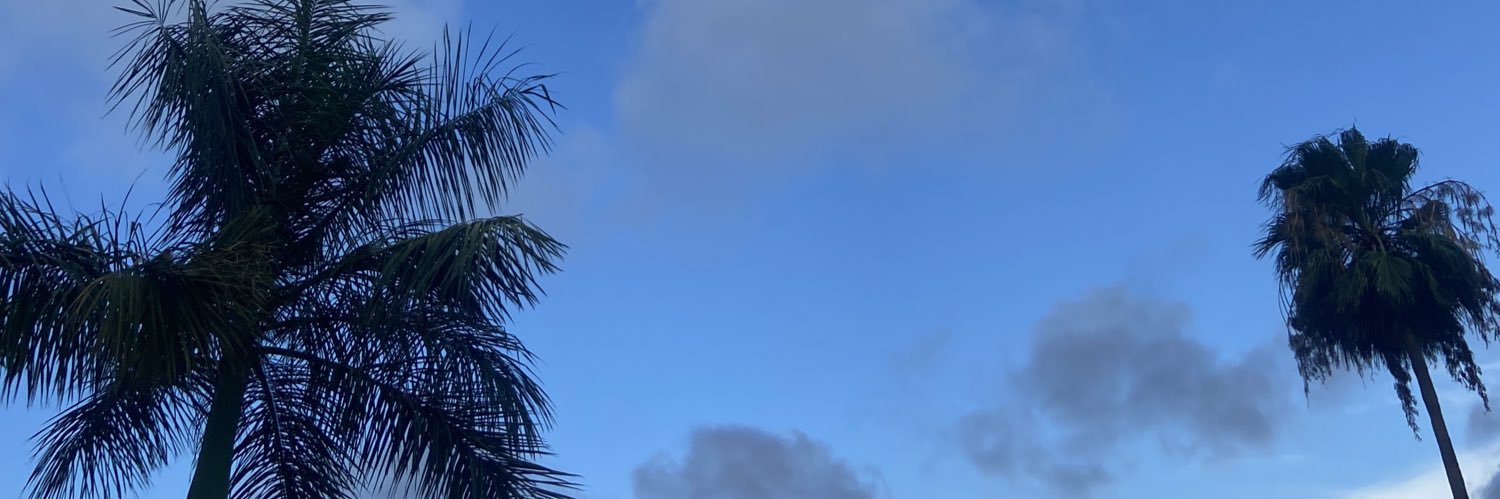 MichellOlivas's profile banner image