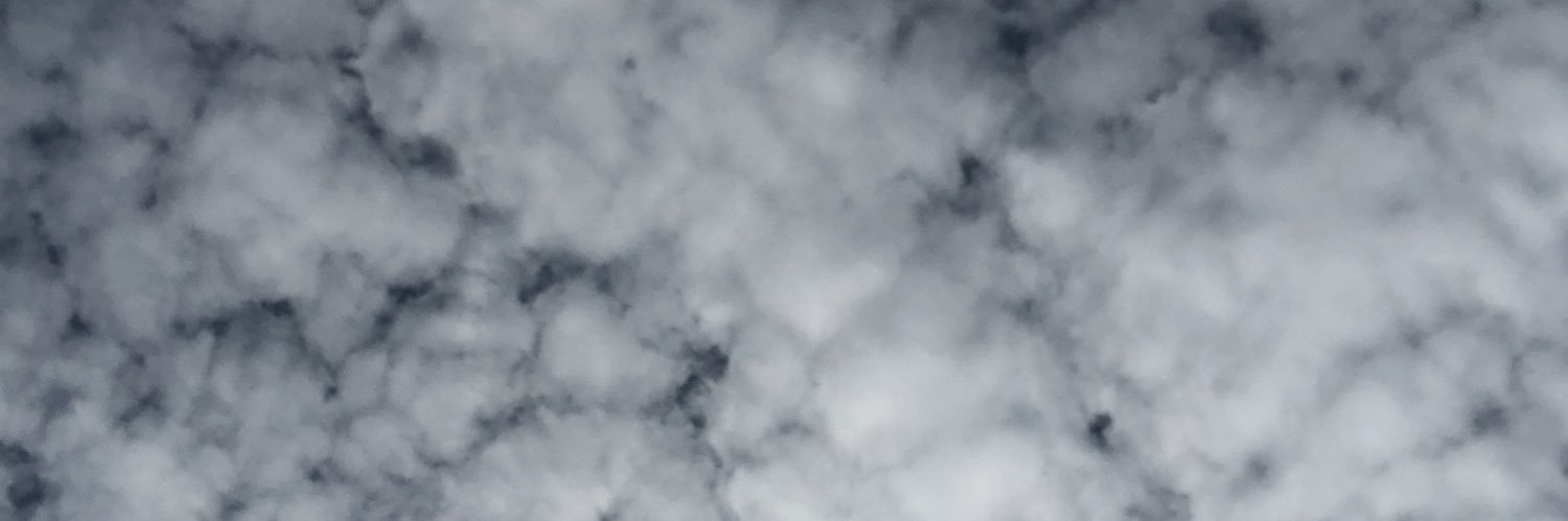emmalowden_'s profile banner image