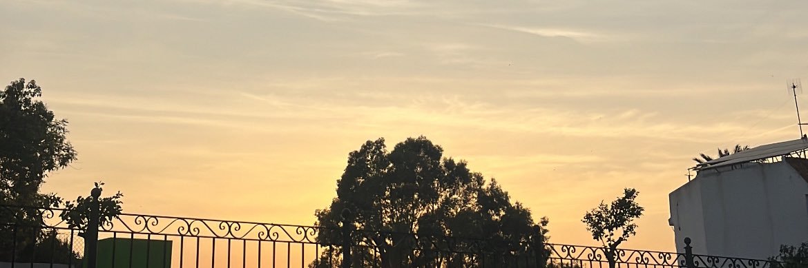 Miguel Ángel banner