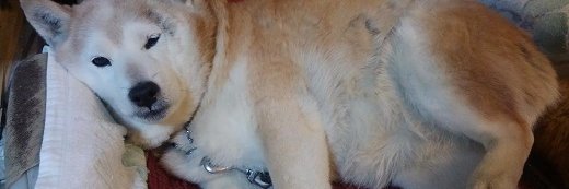 MQ2A0R's profile banner image