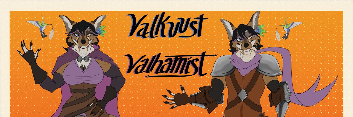 Valkuust's profile banner image