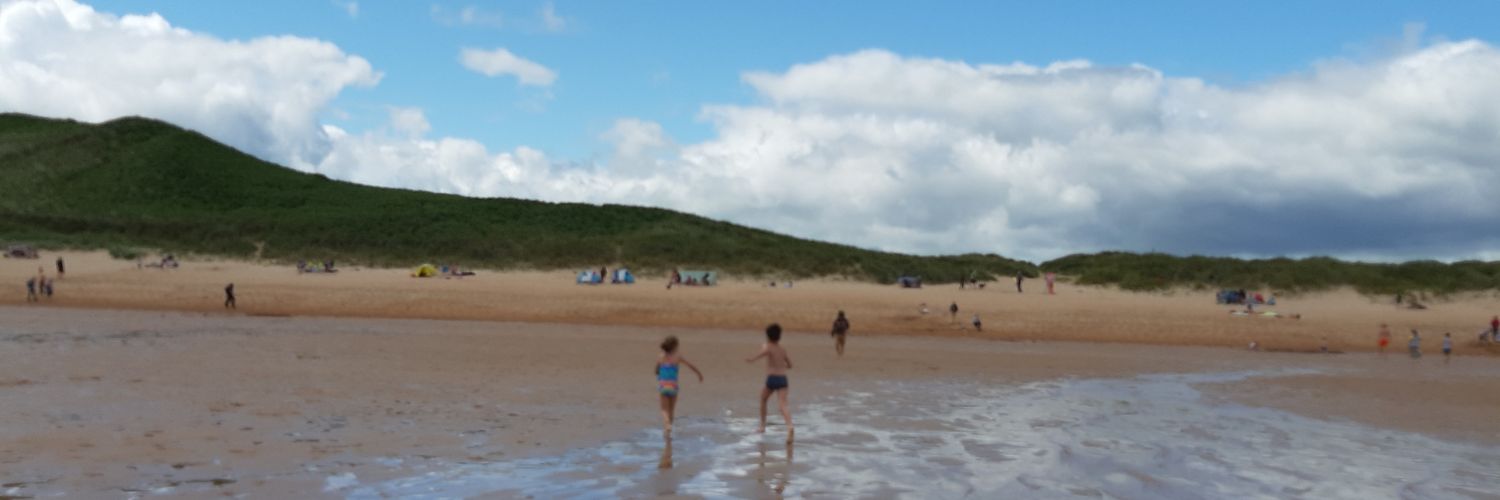 mfljess's profile banner image