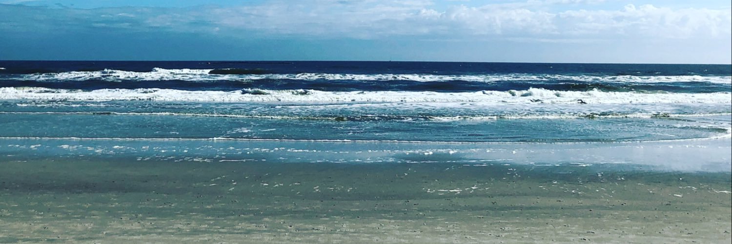 Abby Angelucci banner