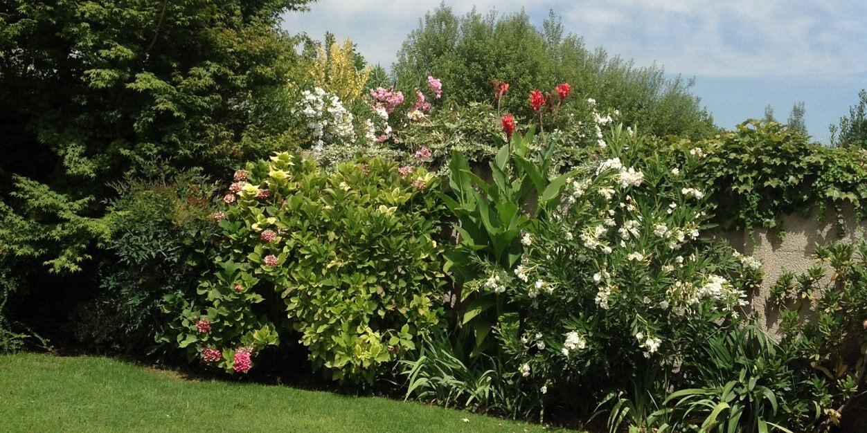 beatrizaguad's profile banner image