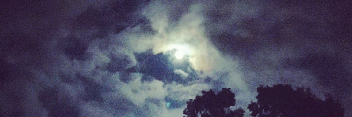 Christopher S. Bell banner