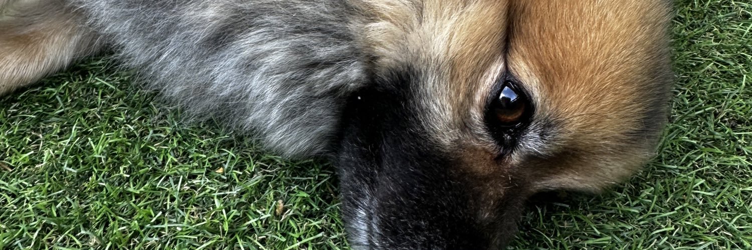 geraldkfr's profile banner image