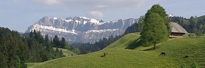 tinobmtz's profile banner image