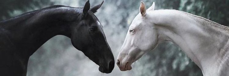 hakiBeyy's profile banner image