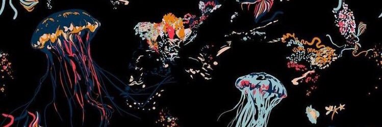 ntnych's profile banner image