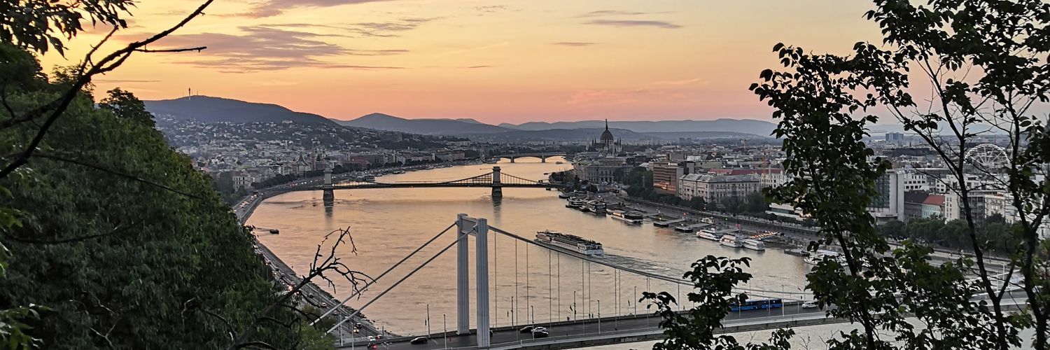 Diána Nagy banner