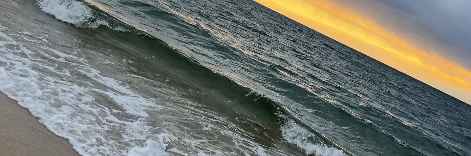 mloylo01's profile banner image