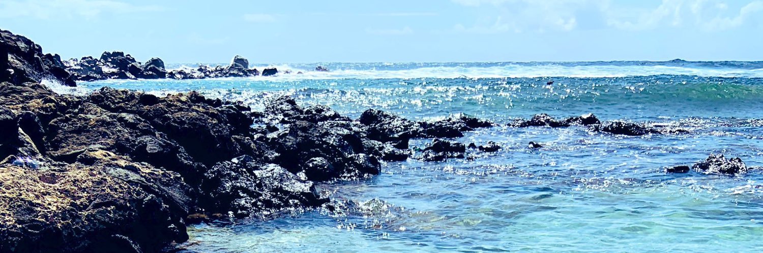 Helen Edamura banner