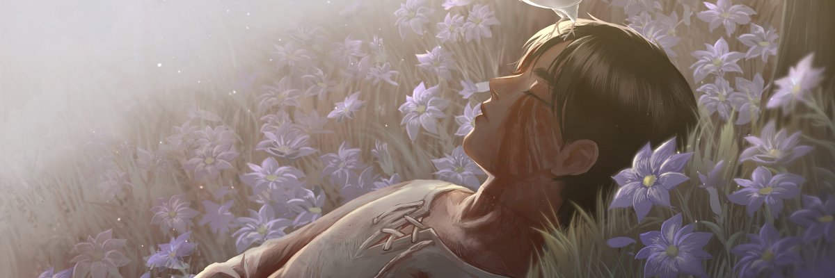 NaniPix banner